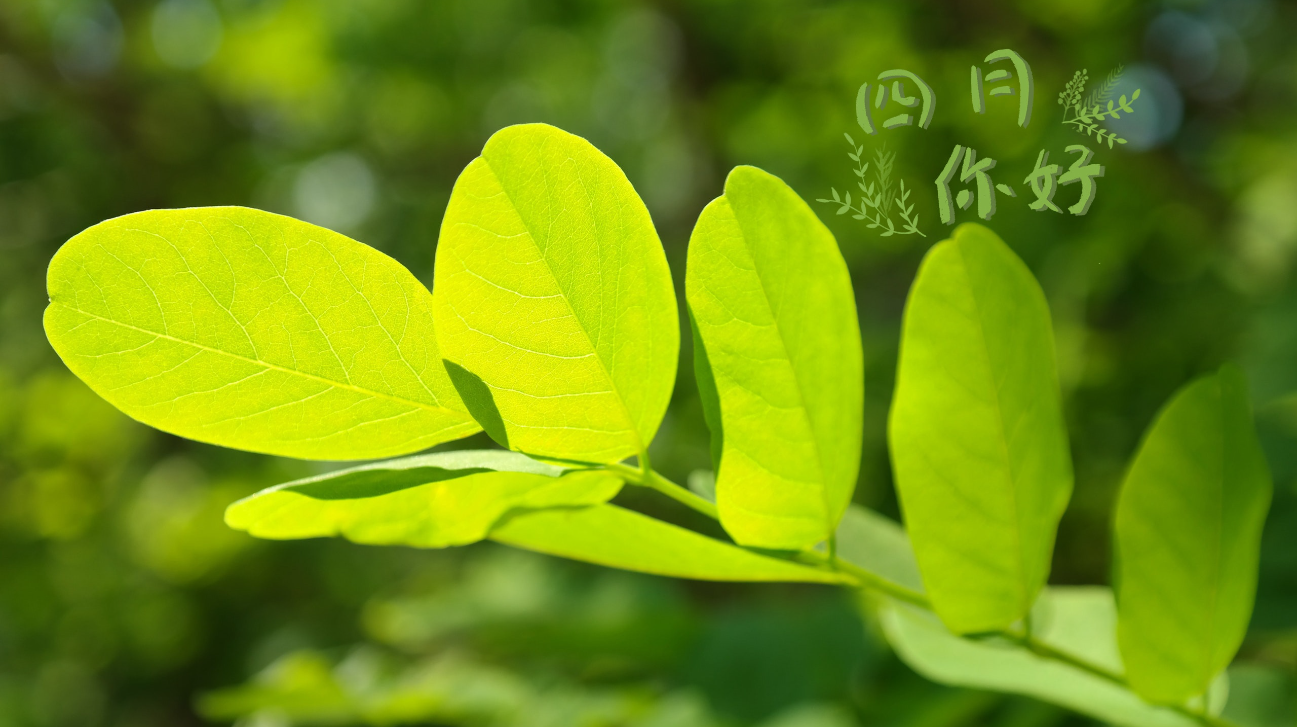 你好！4月